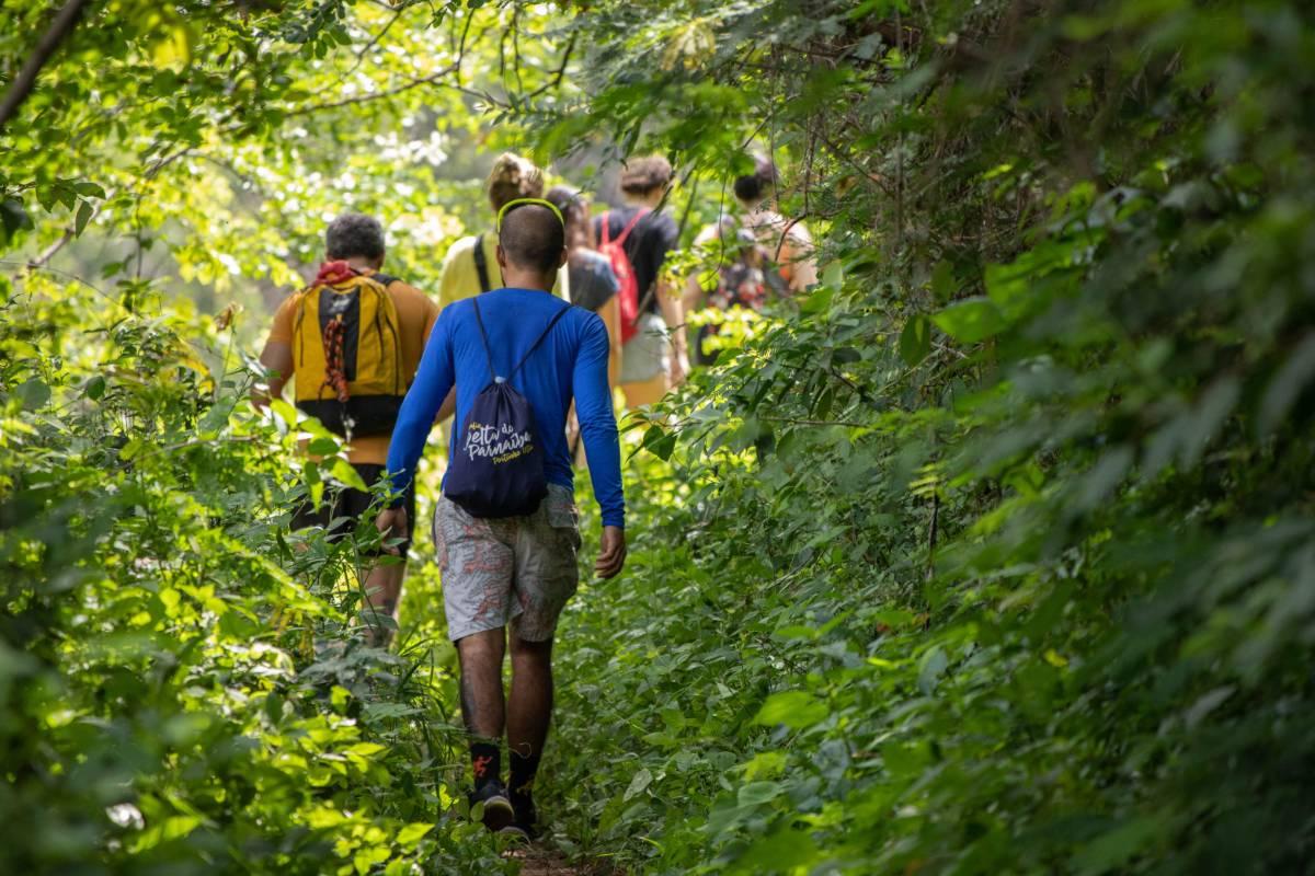 Hiking: Captivating Nature